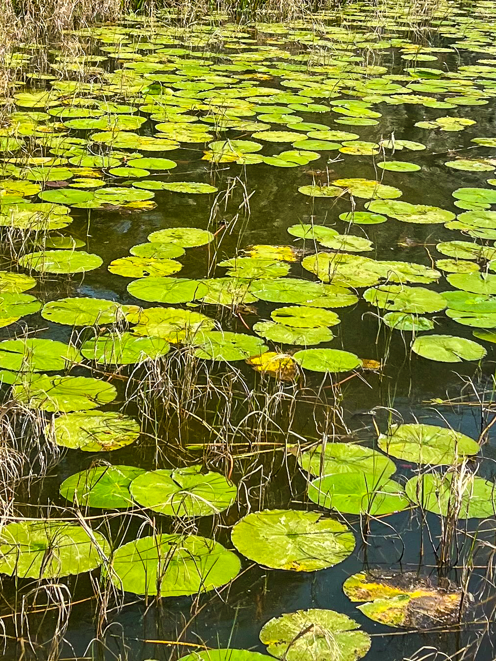 KID_CompRetreat_MAR2025-35 KCI Company Retreat - FEB 2025